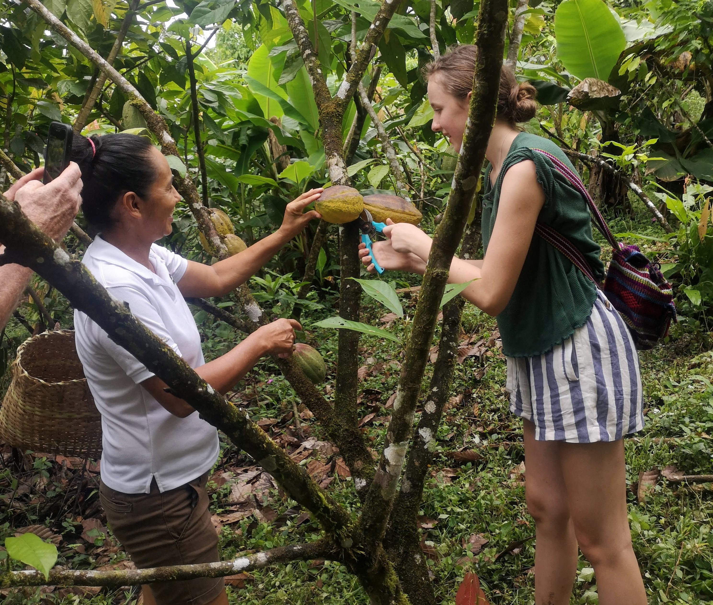 Farm tour in the rainforest